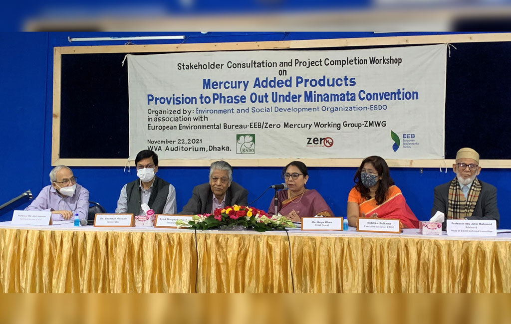 Experts urged to ratify Minamata Convention to phase out mercury-added products