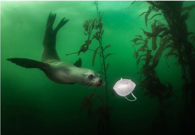You are currently viewing How to stop discarded face masks from polluting the planet