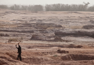Read more about the article Soil degradation: the problems and how to fix them