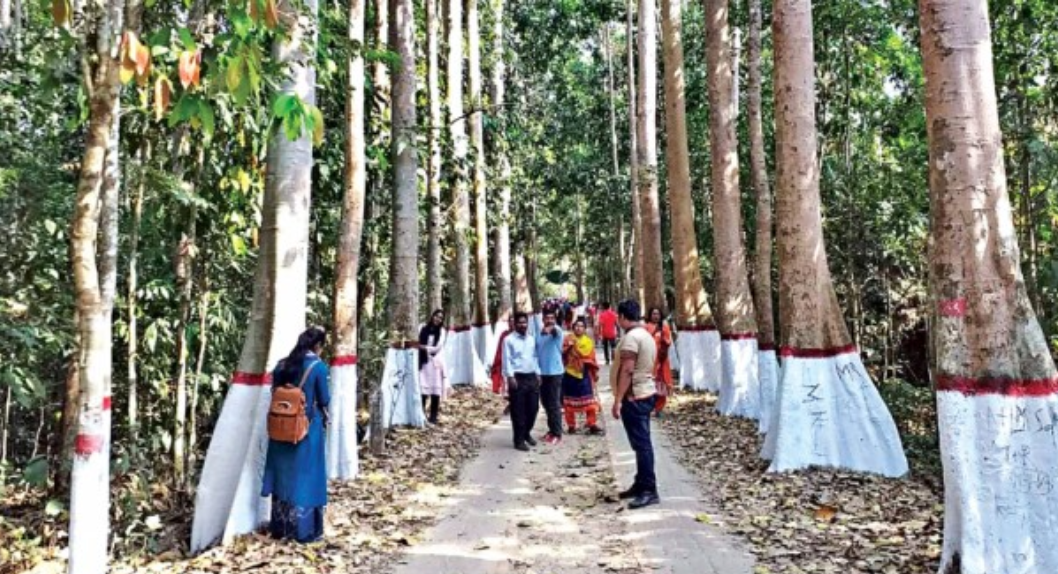 Read more about the article Sreemangal tourism on the mende